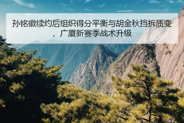 孙铭徽续约后组织得分平衡与胡金秋挡拆质变，广厦新赛季战术升级