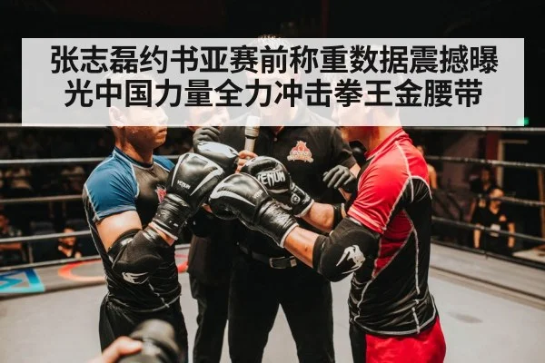 张志磊约书亚赛前称重数据震撼曝光中国力量全力冲击拳王金腰带
